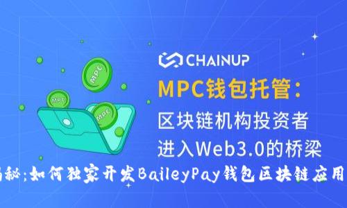 专家揭秘：如何独家开发BaileyPay钱包区块链应用的秘诀