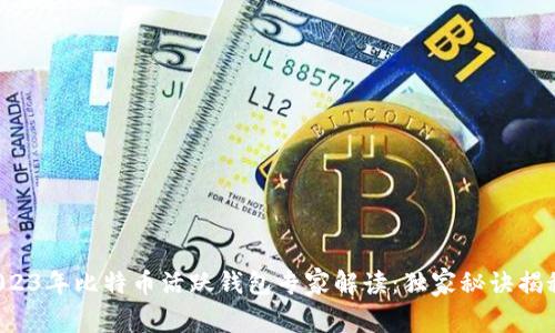 2023年比特币活跃钱包专家解读：独家秘诀揭秘！