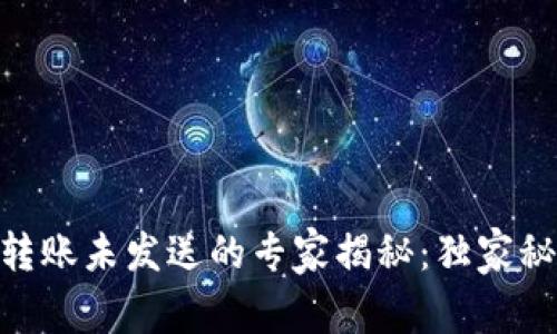 ### Tokenim转账未发送的专家揭秘：独家秘诀解决你的困扰