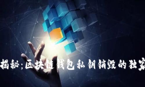 专家揭秘：区块链钱包私钥销毁的独家秘诀