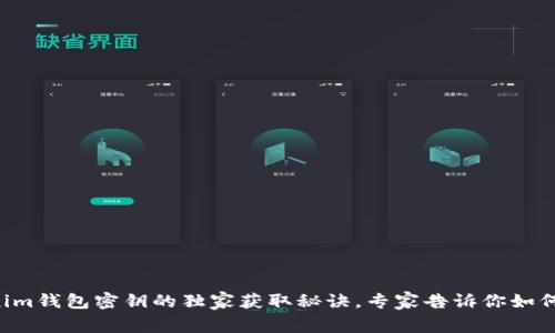 揭秘Tokenim钱包密钥的独家获取秘诀，专家告诉你如何安全存储!
