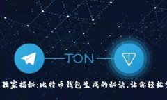 专家独家揭秘：比特币钱
