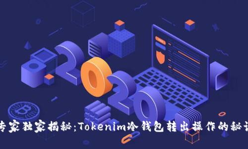 专家独家揭秘：Tokenim冷钱包转出操作的秘诀