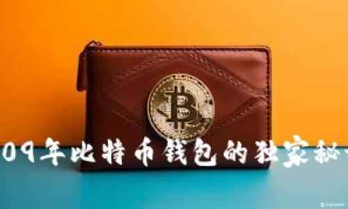 专家揭秘：2009年比特币钱包的独家秘诀与发展历程