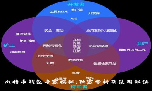 比特币钱包专家揭秘：独家分析及使用秘诀