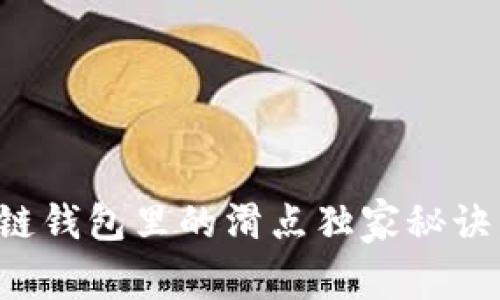 专家揭秘：区块链钱包里的滑点独家秘诀，你真的了解吗？