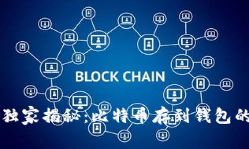 专家独家揭秘：比特币存到钱包的秘诀