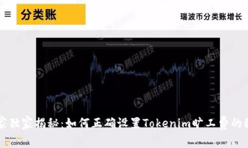 专家独家揭秘：如何正确设置Tokenim旷工费的秘诀