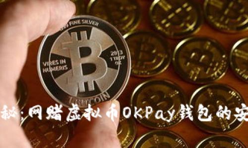 专家揭秘：网赌虚拟币OKPay钱包的安全秘诀