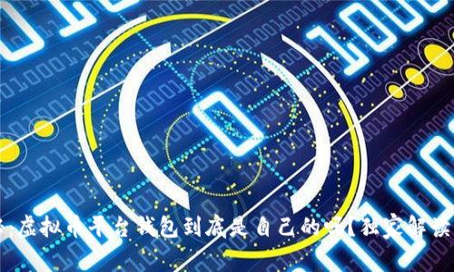 专家揭秘：虚拟币平台钱包到底是自己的吗？独家解读及其秘诀