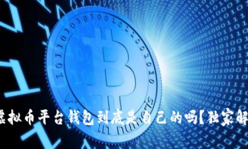 专家揭秘：虚拟币平台钱包到底是自己的吗？独家解读及其秘诀