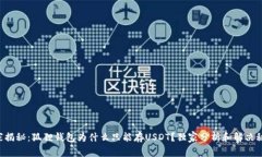 专家揭秘：狐狸钱包为什么只能存USDT？独家分析