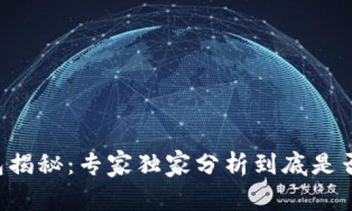 区块链钱包揭秘：专家独家分析到底是否涉及传销！