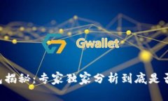 区块链钱包揭秘：专家独家分析到底是否涉及传