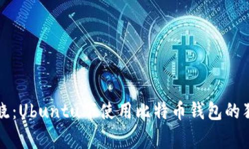 专家揭晓：Ubuntu下使用比特币钱包的独家秘诀