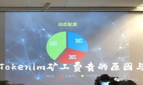 独家揭秘Tokenim矿工费贵的原因与应对秘诀