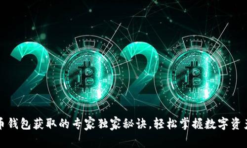 比特币钱包获取的专家独家秘诀，轻松掌握数字资产管理
